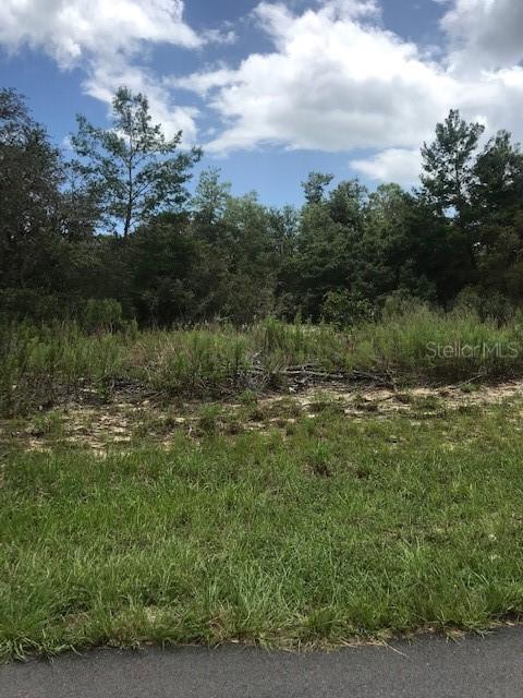 16981 SW 40th Cir., Ocala, FL 34473