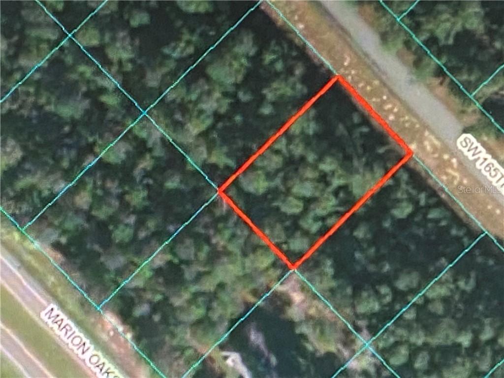 TBD SW 165 Street Rd., Ocala, FL 34473