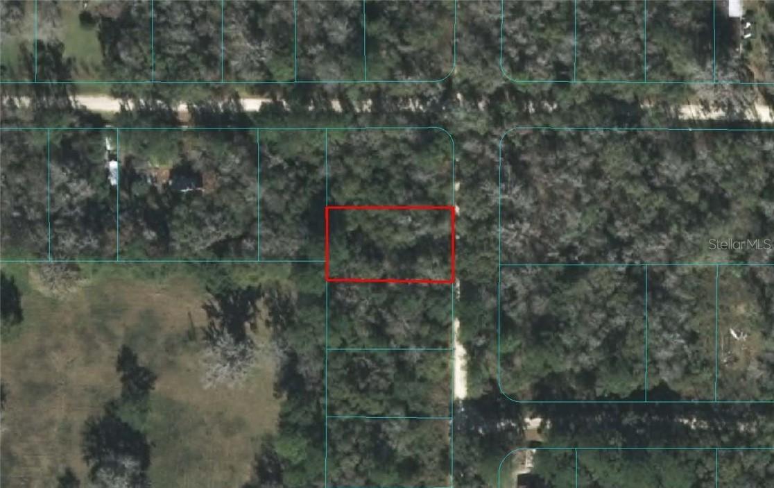 TBD SW 134th Ct., Ocala, FL 34481