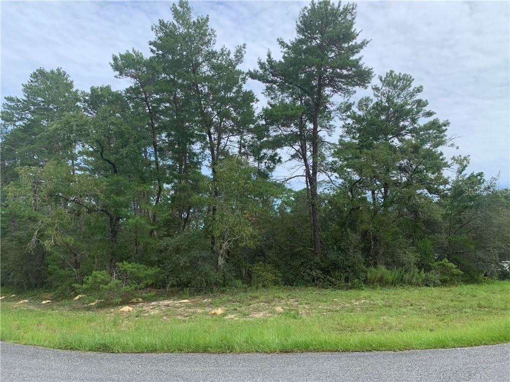 Sw 53rd Ct, Ocala, FL 34478