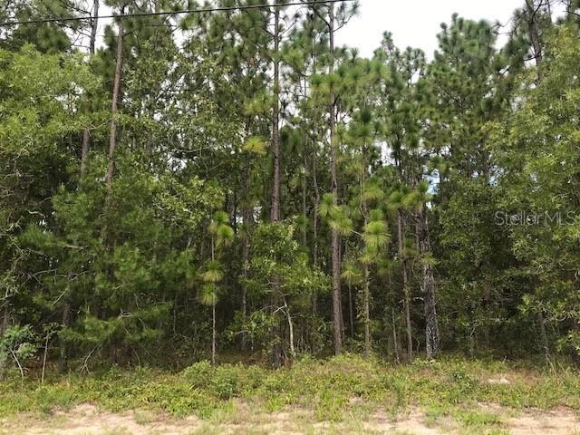 0 Marion Oaks Pass, Ocala, FL 34473
