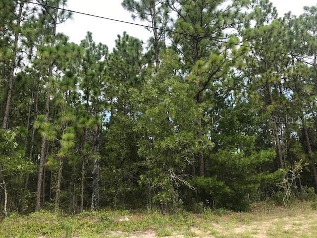0 Sw 134th Loop, Ocala, FL 34473