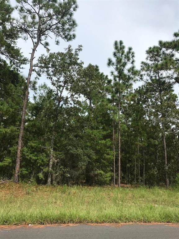 TBD SW 73rd Ter., Ocala, FL 34473