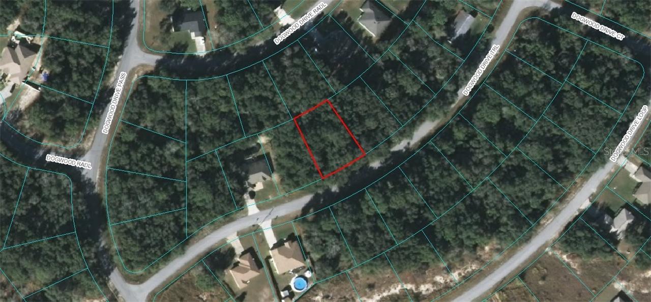 Dogwood Drive Trail, Ocala, FL 34471