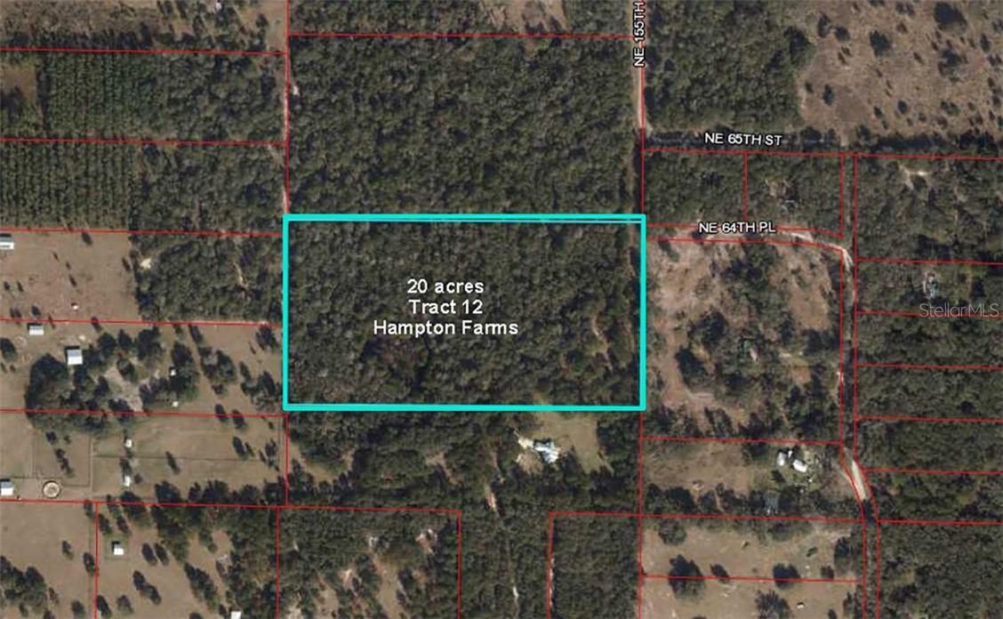 TBD NE 64 Pl., Williston, FL 32696