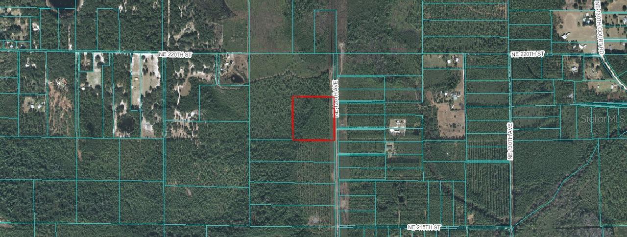 00 NE 125 Ave., Fort Mc Coy, FL 32134