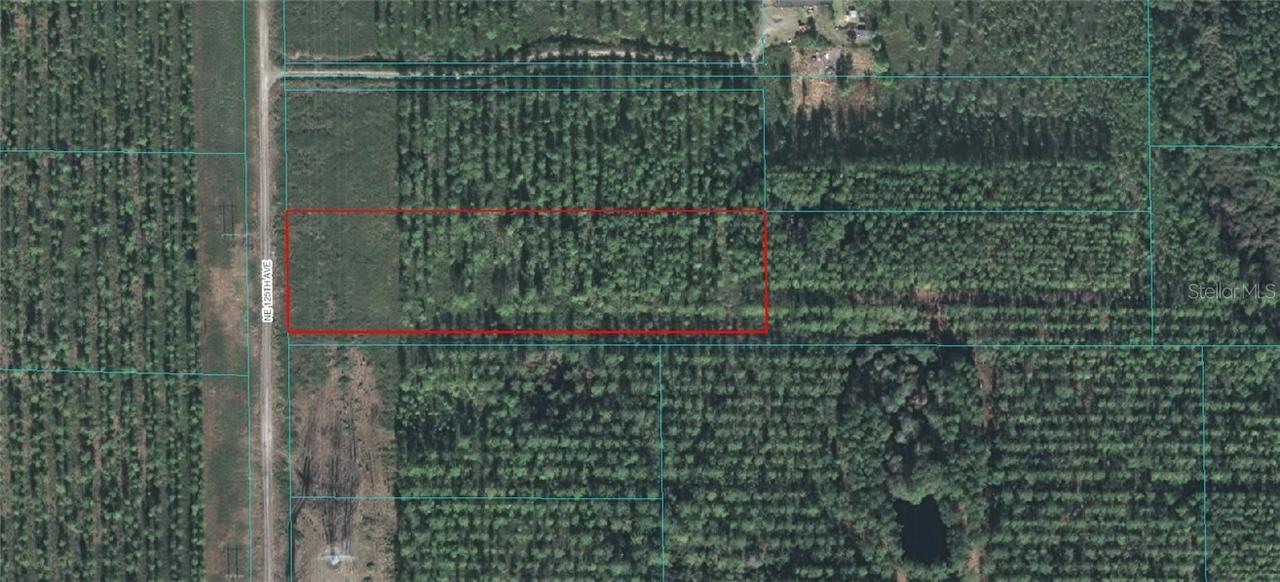 TRACT 23 NE 125 Ave., Fort Mc Coy, FL 32134