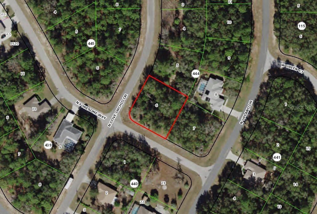 8401 N Dove Orchid Dr., Citrus Springs, FL 34434
