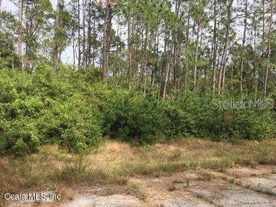 Jubilee Cir., North Port, FL 34288