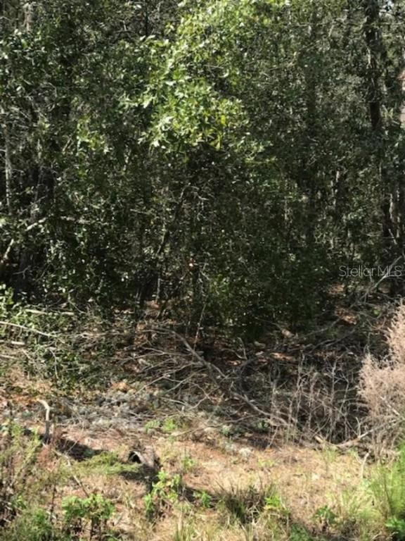 SW Marion Oaks Manor, Ocala, FL 34473