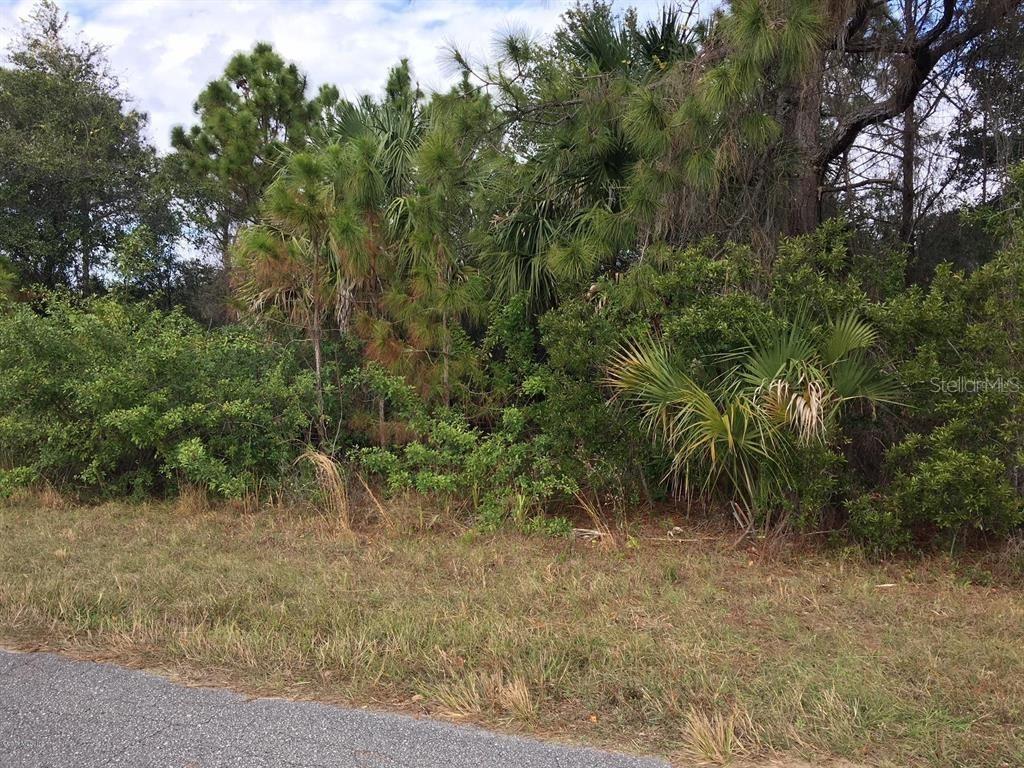 Farview Dr., North Port, FL 34288