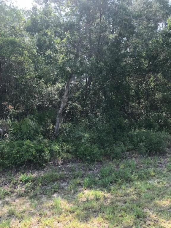 SW 154th Lane Rd., Ocala, FL 34473