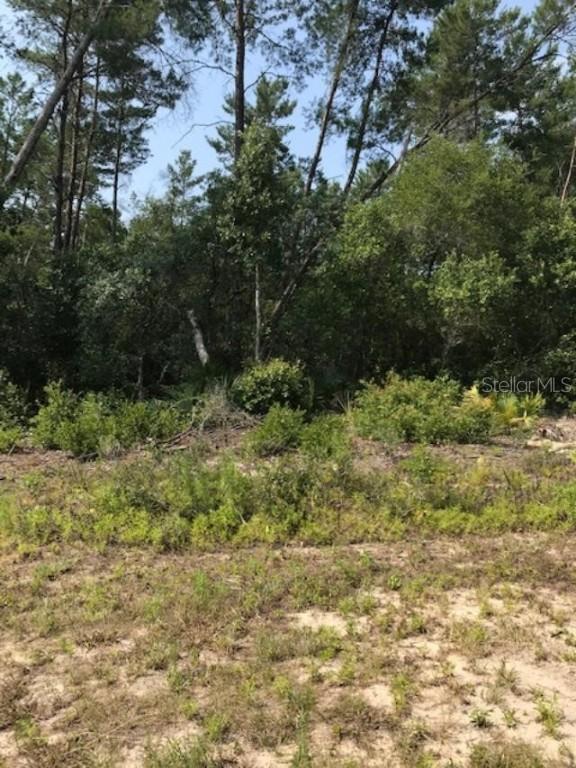 SW 65 Ave Rd., Ocala, FL 34473