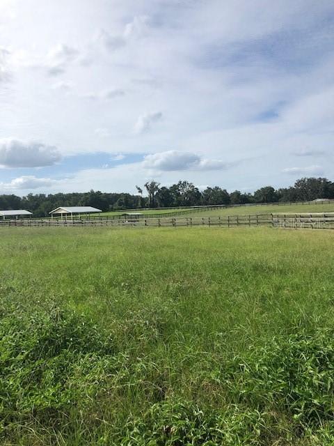 12108 N Magnolia Ave, Ocala, FL 34475