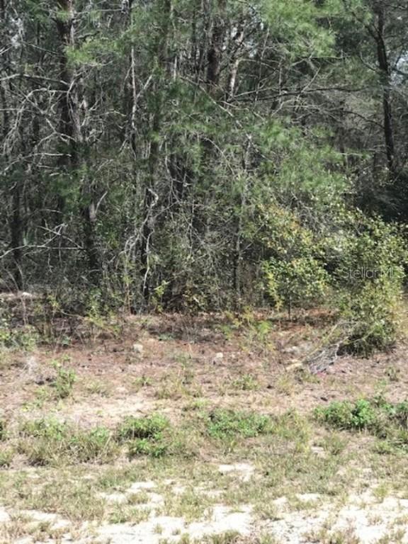 SW 81st Cir., Ocala, FL 34473