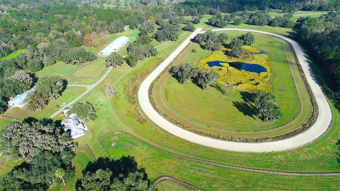 10871 NW 198 St., Micanopy, FL 32667