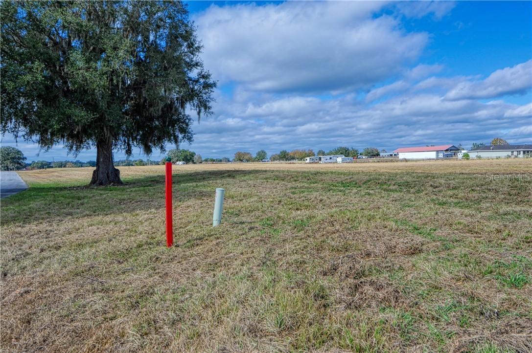 NW 115 Ave., Ocala, FL 34482