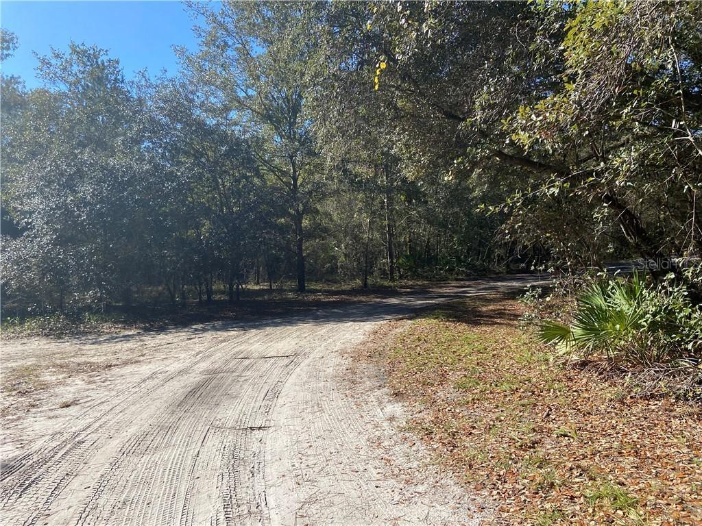 00 NE 107th Ct., Fort Mc Coy, FL 32134