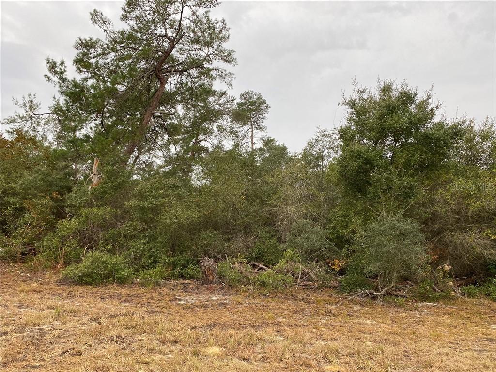 TBD SW 35 Terr, Ocala, FL 34473