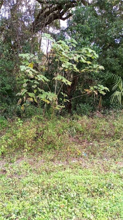 00 N Us Hwy 441, Citra, FL 32113