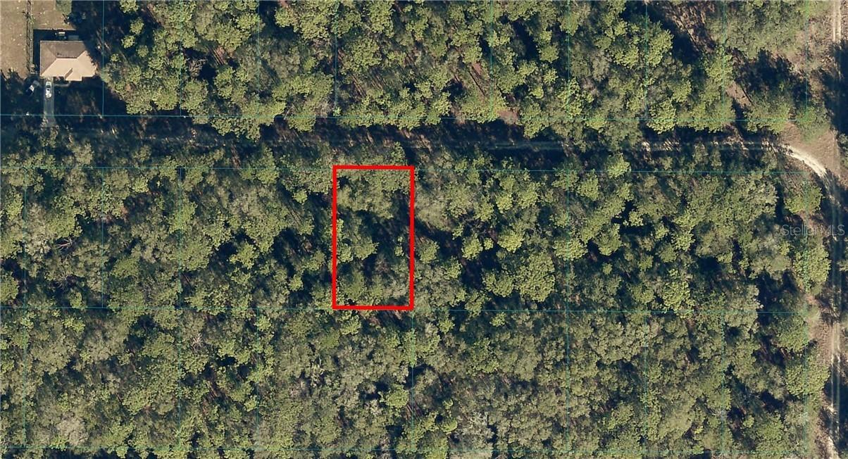 00 SW 10th Pl., Ocala, FL 34481