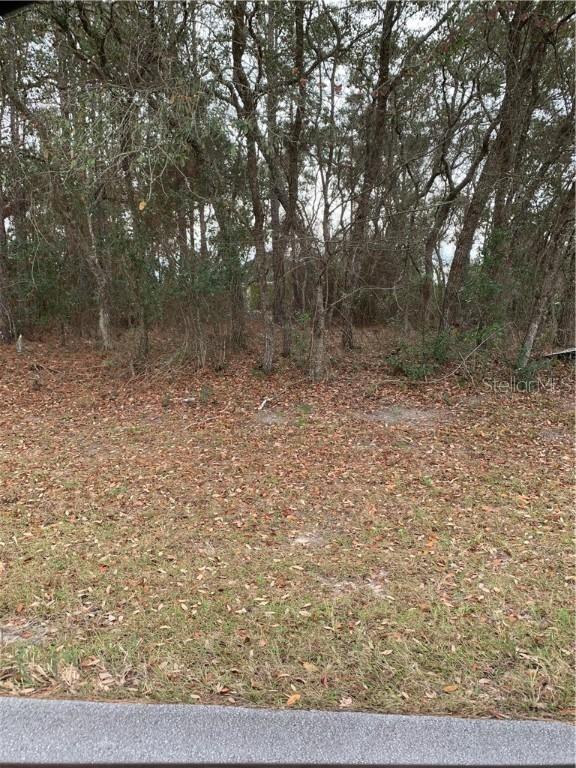SW 166 Loop, Ocala, FL 34473