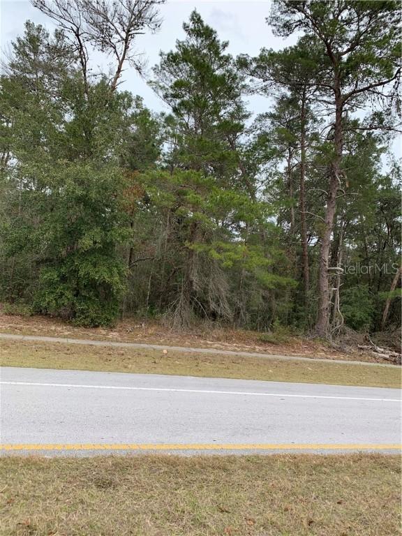 SW 166th Loop, Ocala, FL 34473