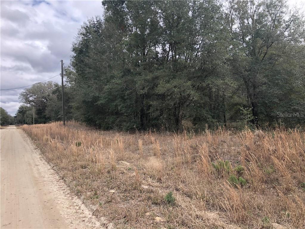 00 SW 102nd St., Dunnellon, FL 34432