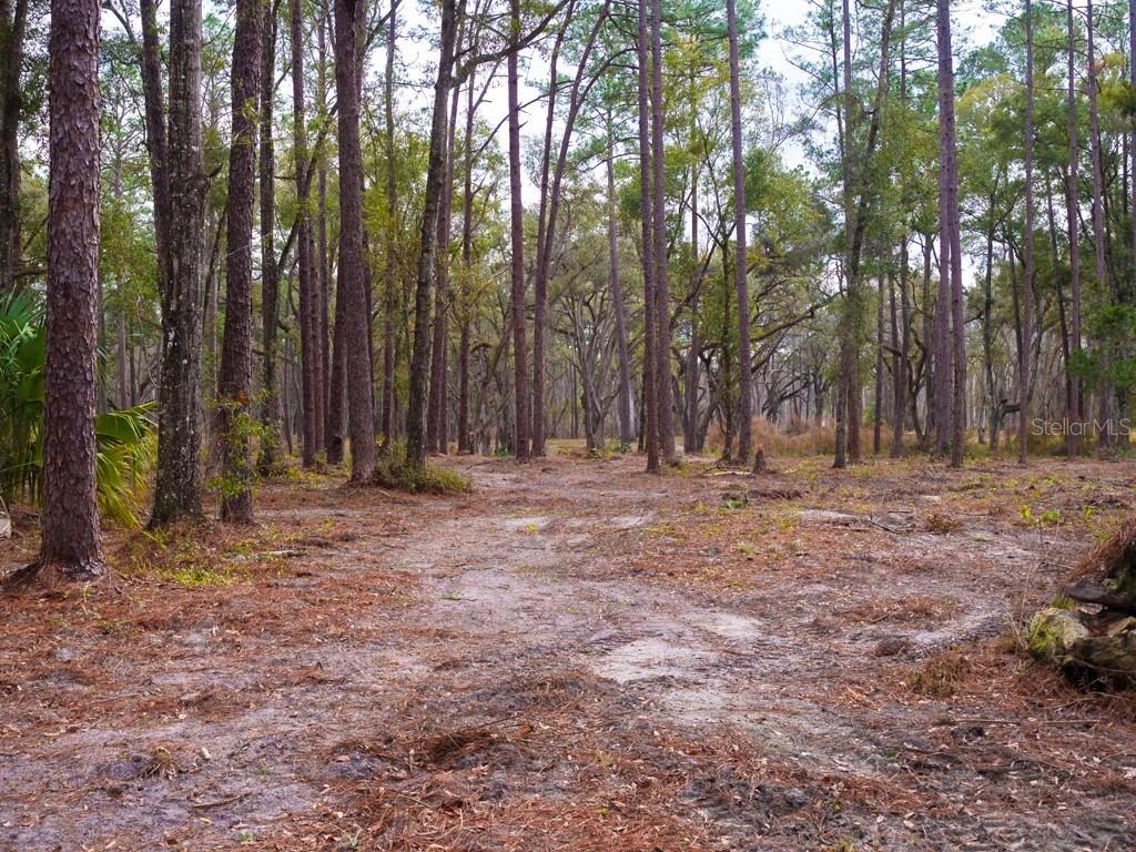 Nw 160th Ave., Ocala, FL 34482