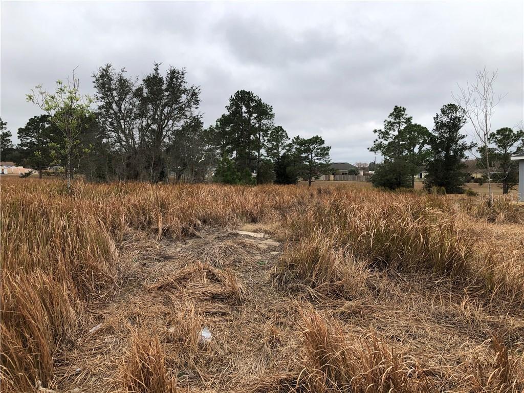 Bahia Court Ln., Ocala, FL 34472