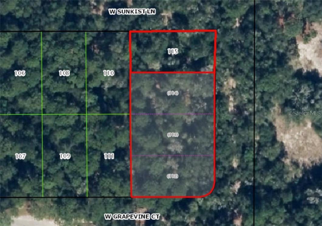 12018 N Peartree Ter., Dunnellon, FL 34433