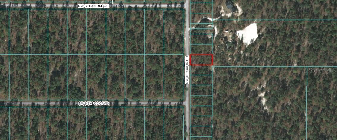 Nw Terrapin Drive, Dunnellon, FL 34431