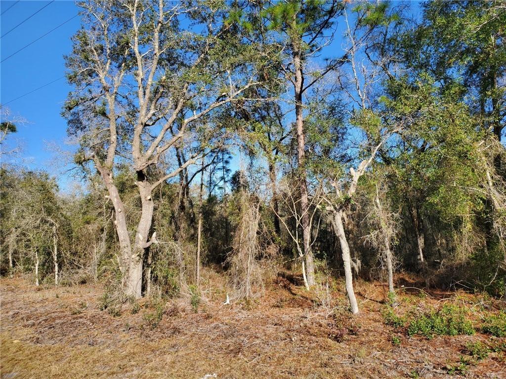 SE 30th St., Morriston, FL 32668