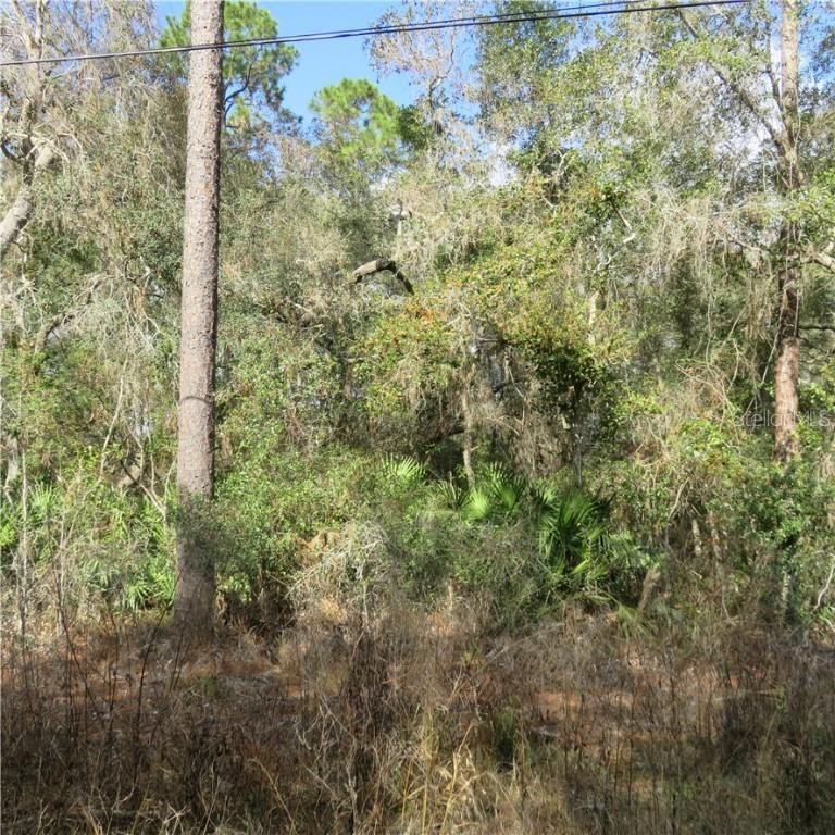 SE 132nd Ln., Ocala, FL 34420