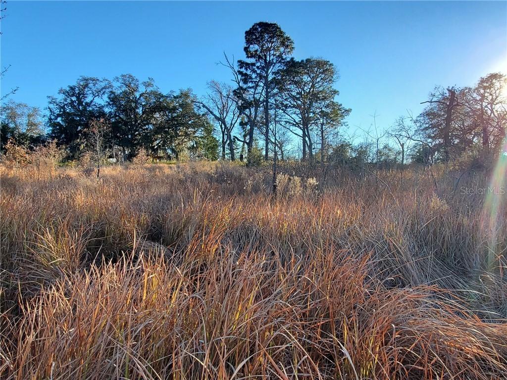 00 NE 100th St., Archer, FL 32618