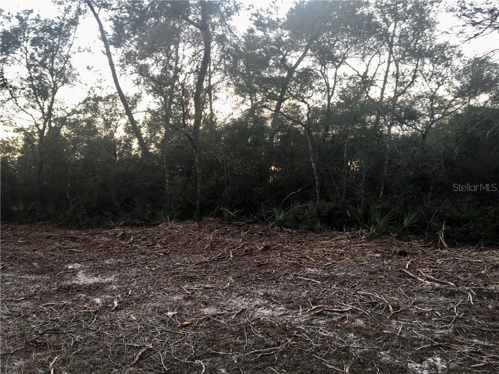 TBD SW 175 Loop, Ocala, FL 34473