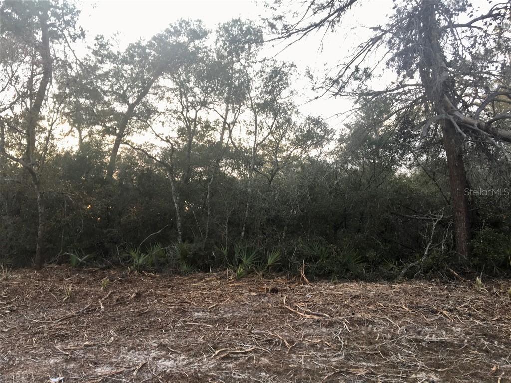 TBD SW 175, Ocala, FL 34473