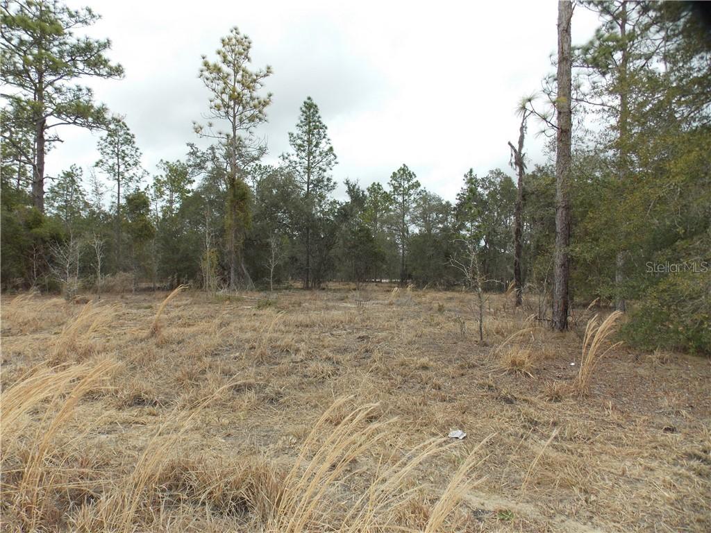NE 40th St., Williston, FL 32696
