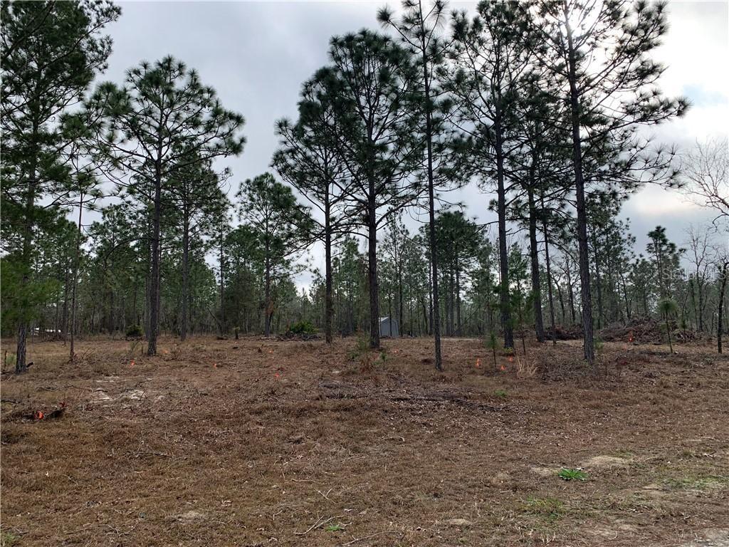 TBD NE 131 Ave., Williston, FL 32696
