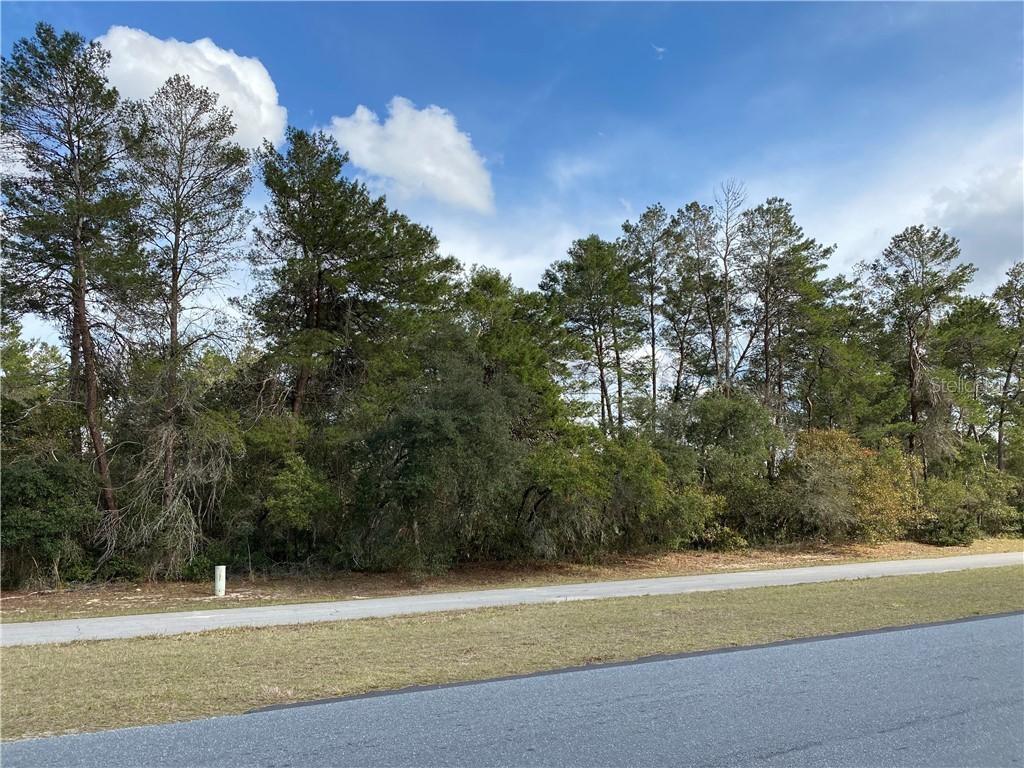 TBD SW 29th Avenue Rd., Ocala, FL 34473