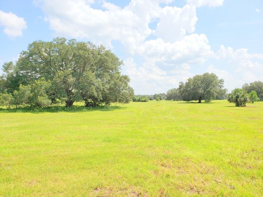 Lot 2 (11.5ac) NE Highway 315 Hwy., Orange Springs, FL 32182