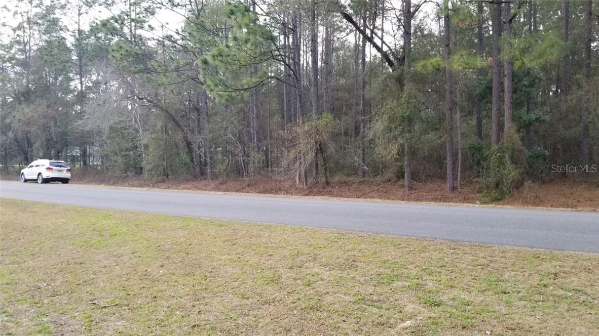 00 SW 61st Pl Rd., Ocala, FL 34481
