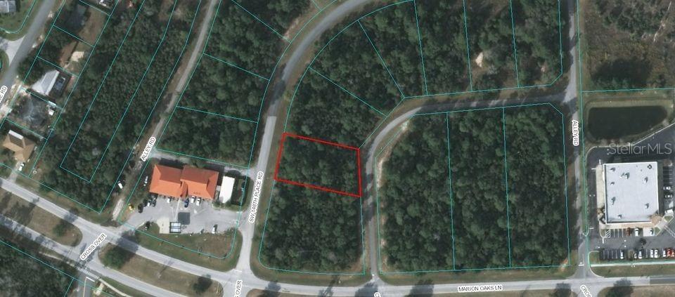 SW 148th Place Rd, Ocala, FL 34473