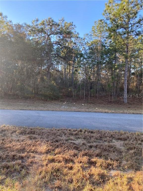 Southwest 61st Ave Rd, Ocala, FL 34473