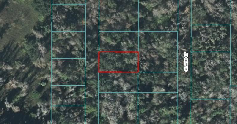 00 SE 41st St., Belleview, FL 34420