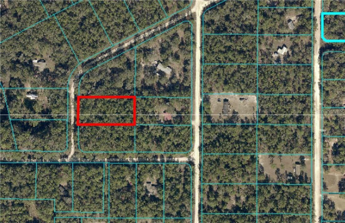 TBD SW 163rd Ave., Ocala, FL 34481