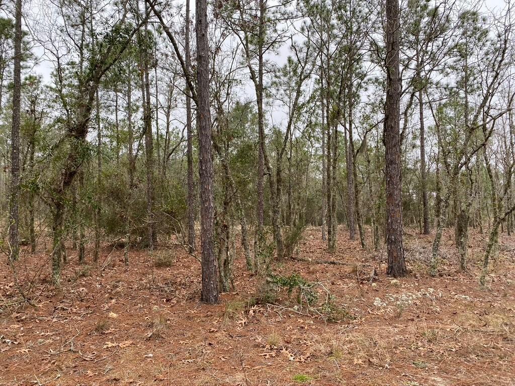000 NE 135th Ave., Williston, FL 32696