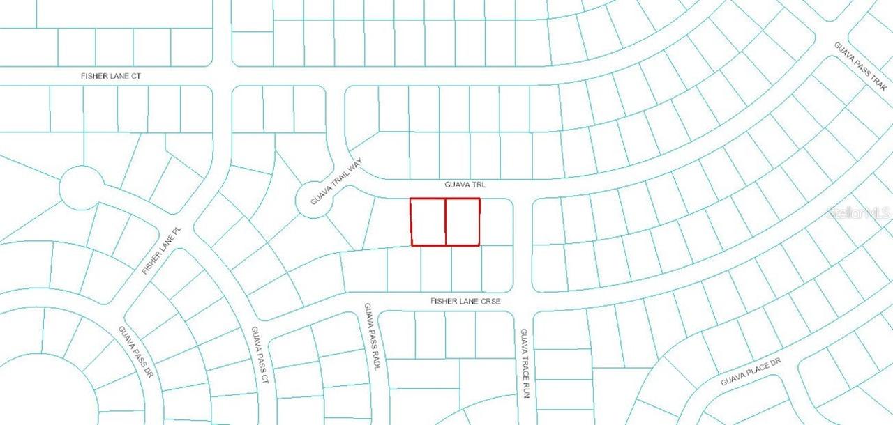 Guava Tr., Ocklawaha, FL 32179