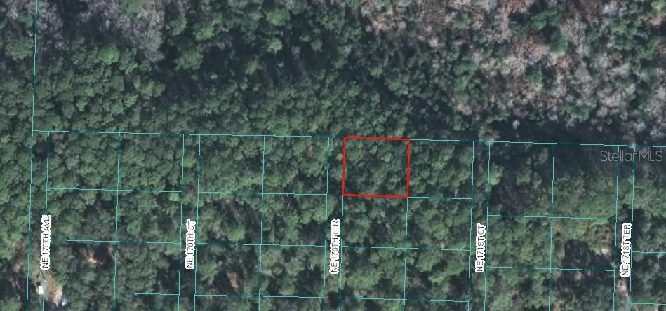 NE 170th Ter., Silver Springs, FL 34488