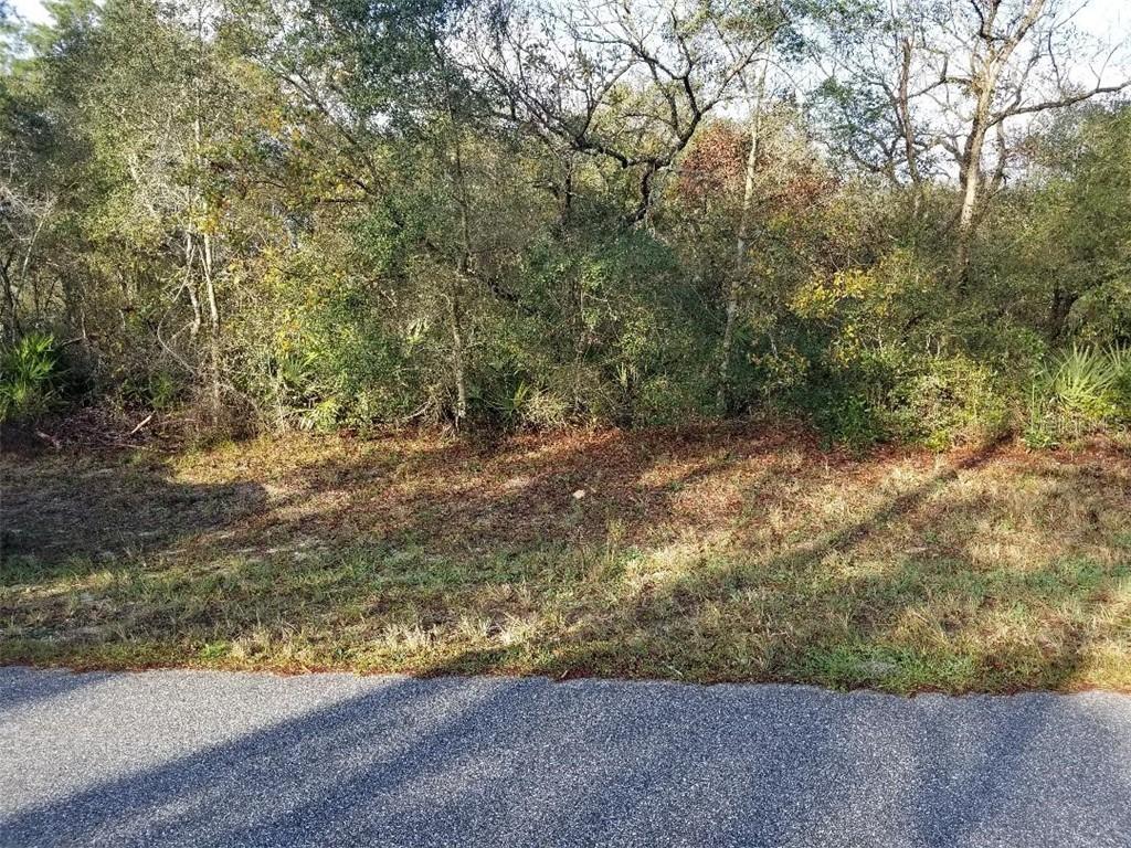 TBD Sw 47th Avenue Rd, Ocala, FL 34473